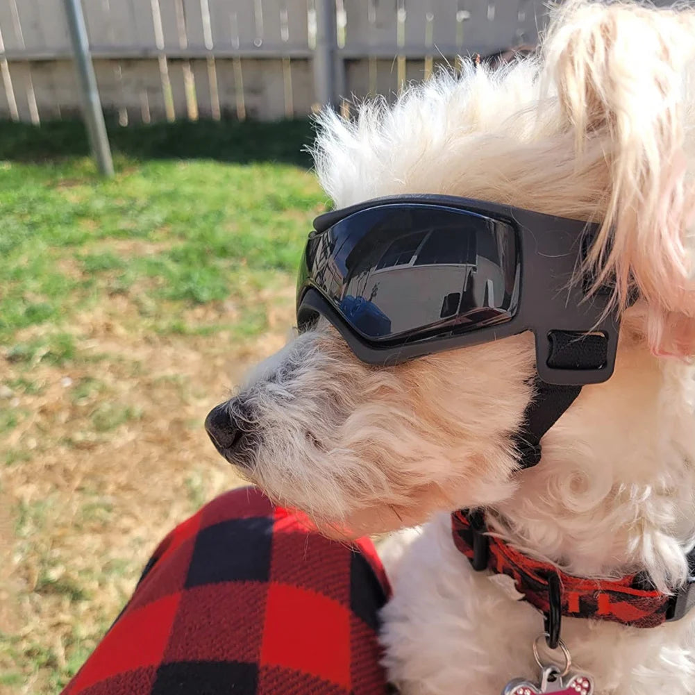 UV Protection Sunglasses for Dog
