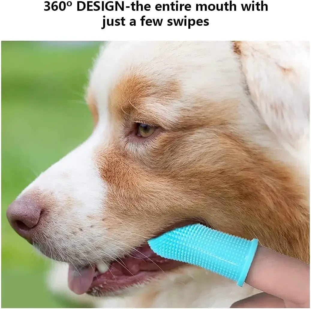 Pet finger toothbruh