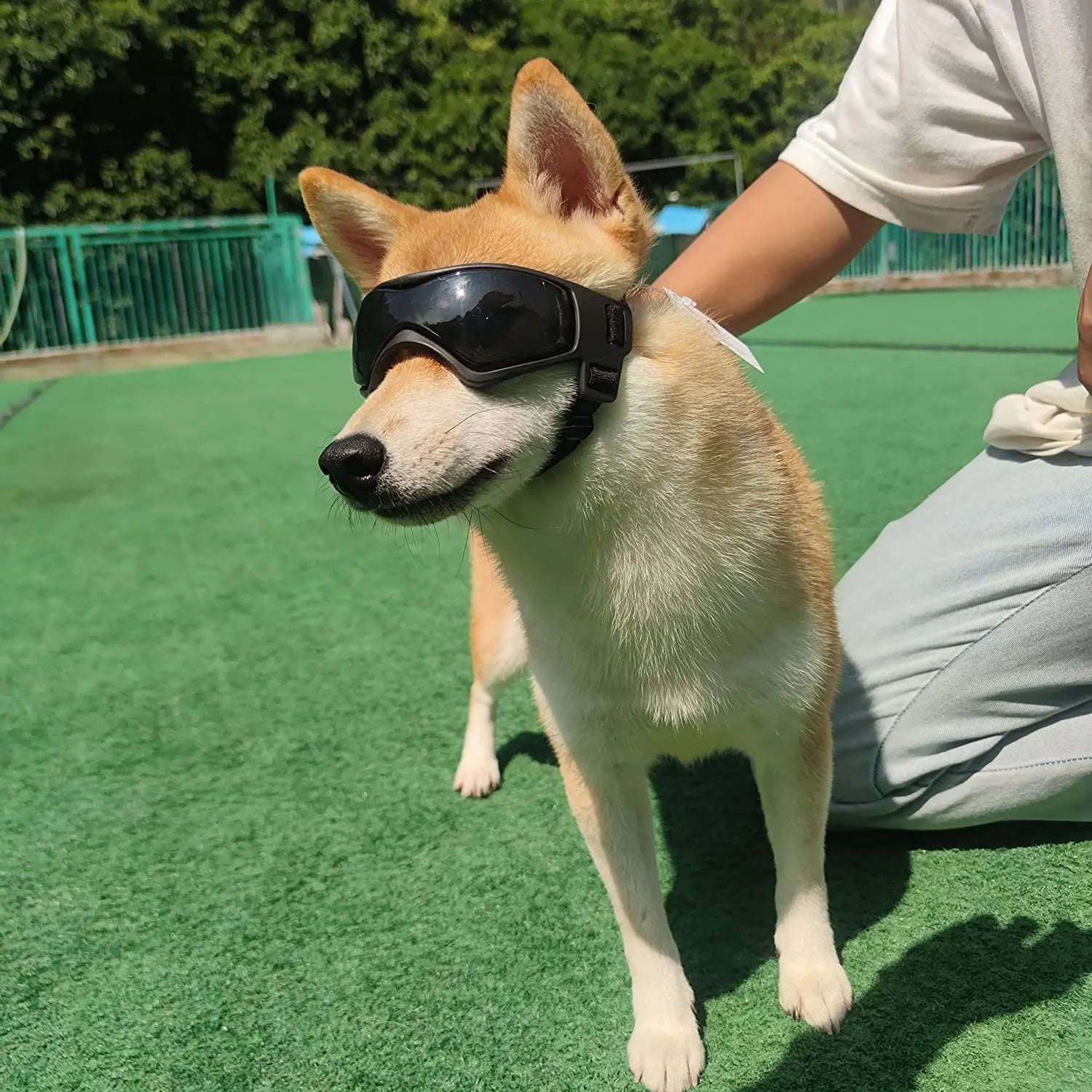UV Protection Sunglasses for Dog